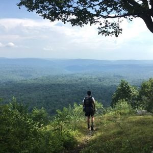 Meet your Posher, Spencer